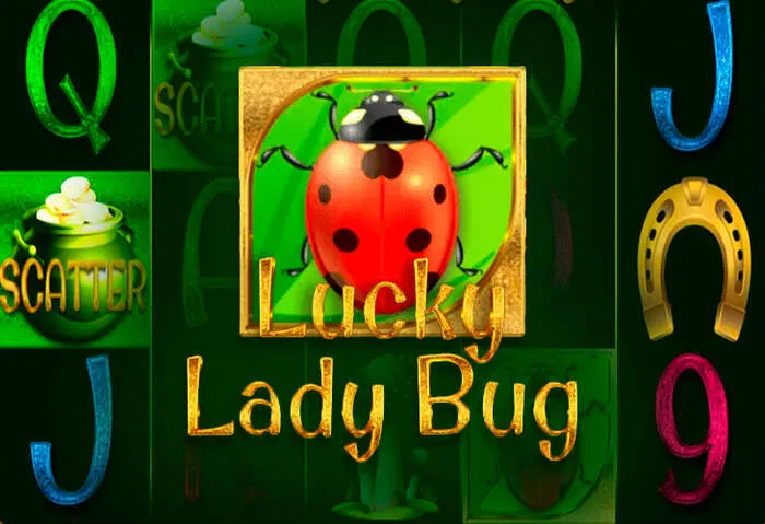 Get the Casinobellodownload mobile app and play your favorite casino games on Android or iOS.