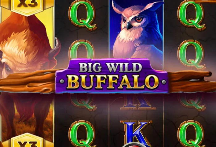 Come creare un conto gioco casino e richiedere i migliori bonus per nuovi utenti.