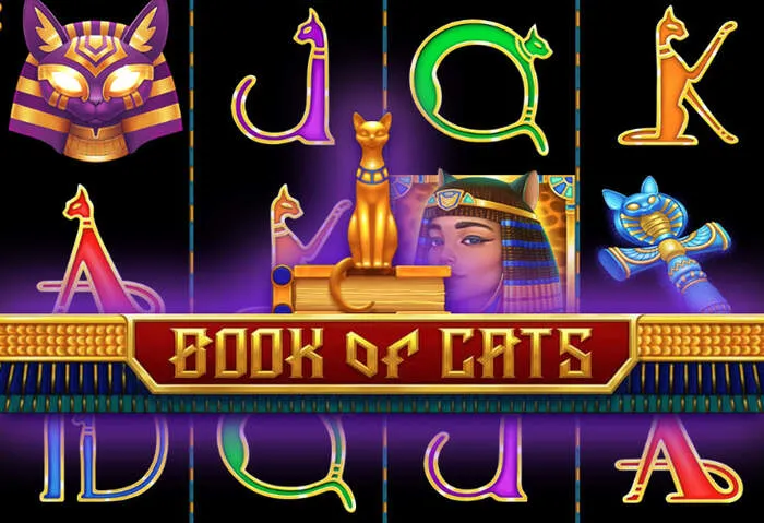 Download the Casinobellodownload mobile app for exciting casino games on your phone.